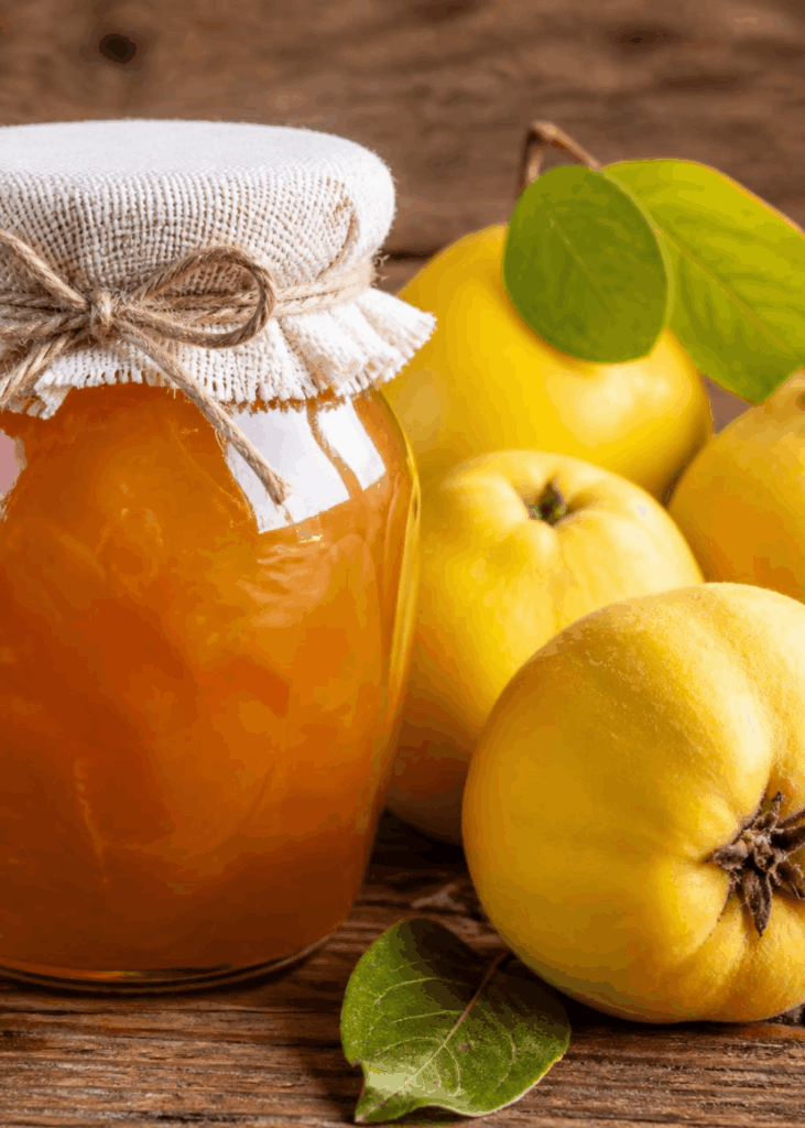 Glas mit goldener Quittenmarmelade und Stoffdeckel mit Schnur gebunden, frische Quitten daneben.