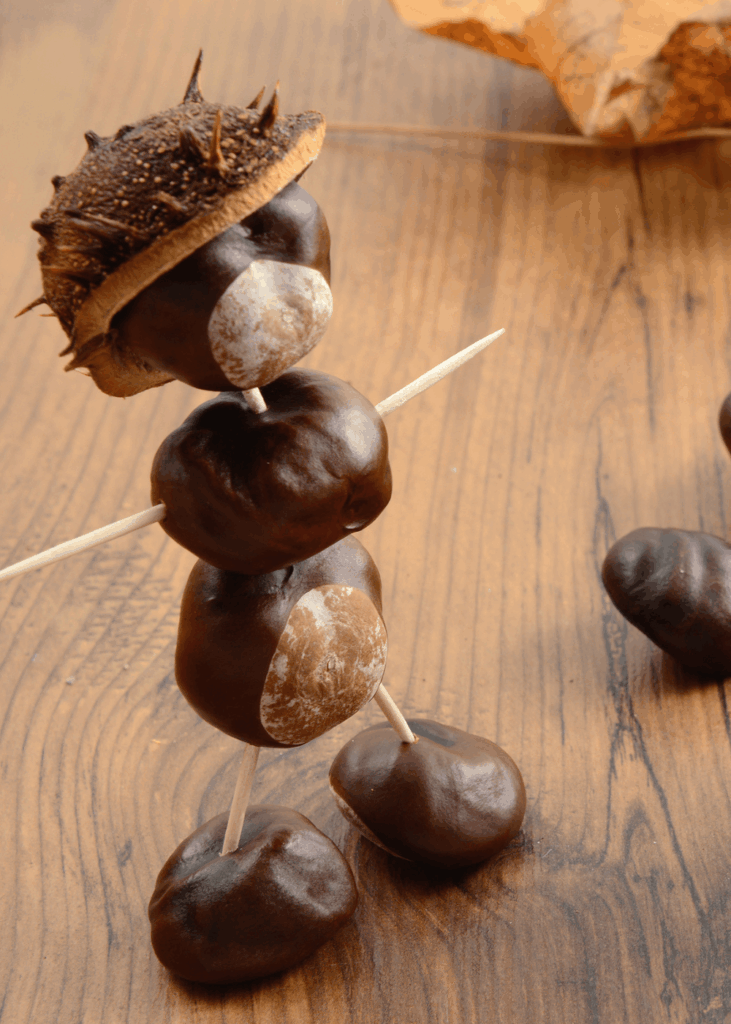 Kastanienfiguren selber basteln Aus Kastanien gebastelte Figur auf Holzuntergrund – Kastanienfiguren basteln mit Kindern