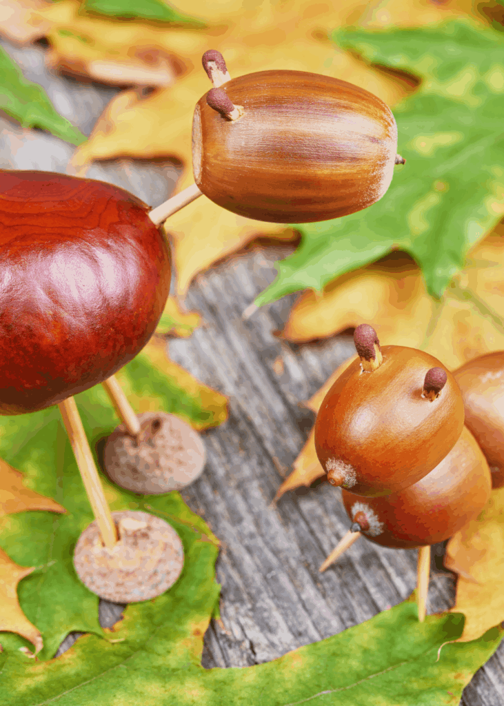 Kastanien frisch gesammelt Kastanien liegen zwischen herbstlichen Blättern – Sammelmaterial für Bastelideen nach dem Spaziergang